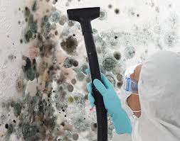 Best Real Estate Mold Inspection  in Boonton, NJ